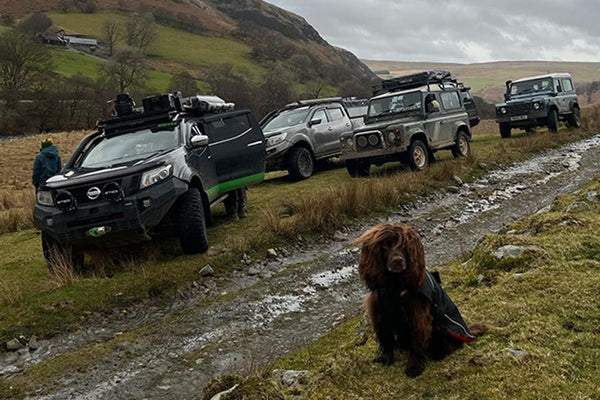 Community Stories: Life with the Lite