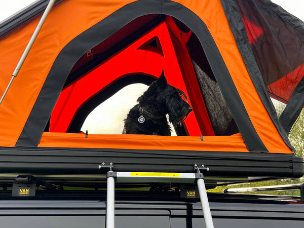 Scottish Terrier dog admiring the views from a sunset orange TentBox Cargo 2.0