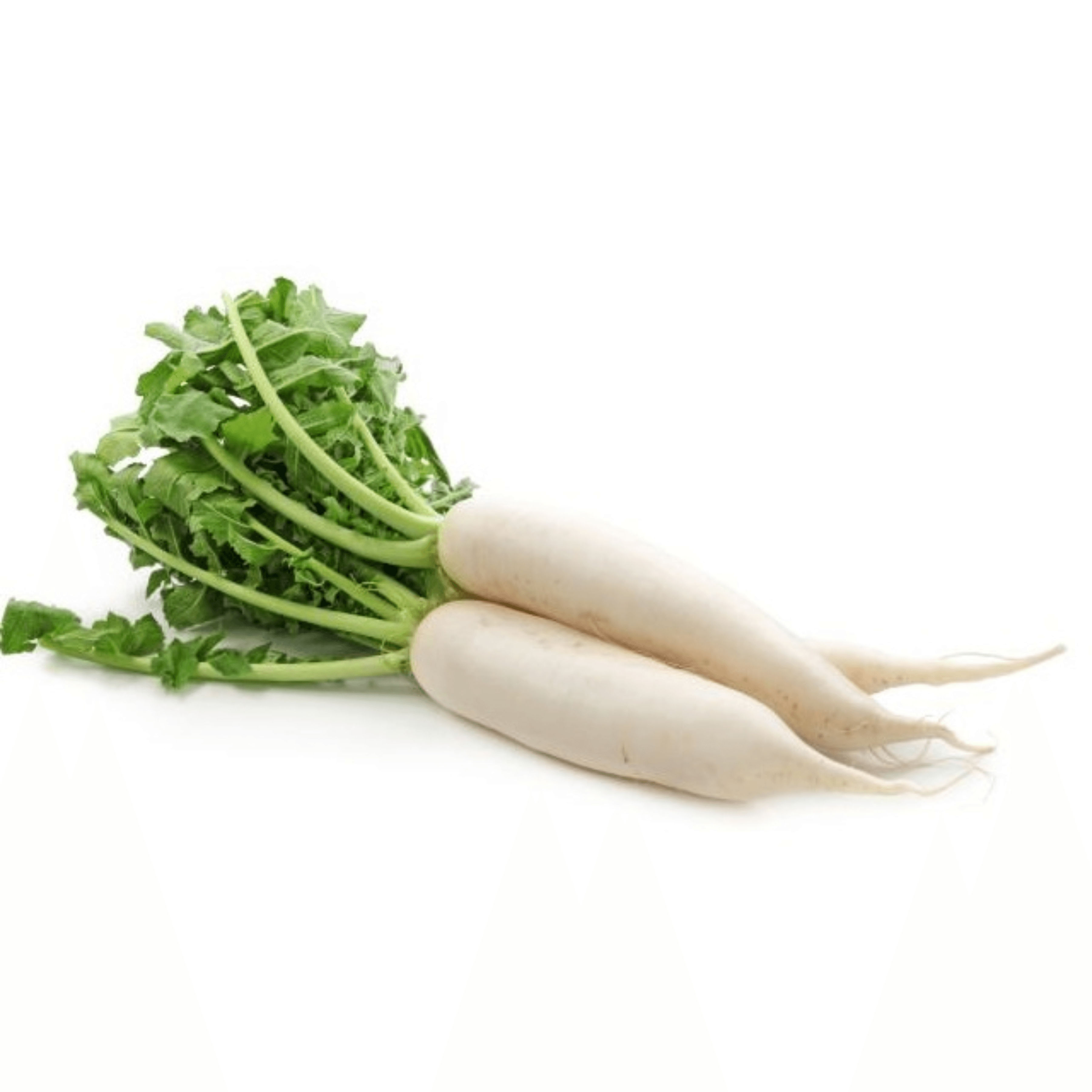 White Radish * 1KG