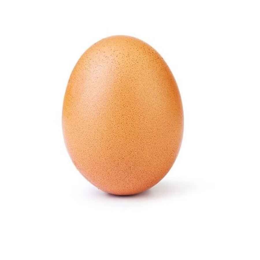 Egg